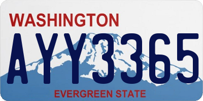 WA license plate AYY3365