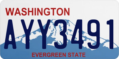 WA license plate AYY3491