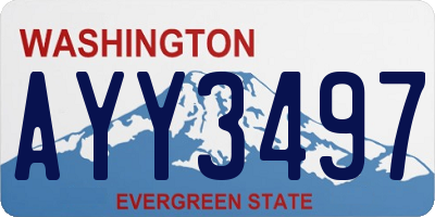 WA license plate AYY3497