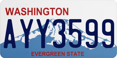 WA license plate AYY3599