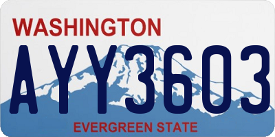 WA license plate AYY3603