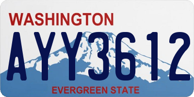 WA license plate AYY3612