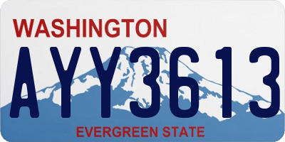 WA license plate AYY3613