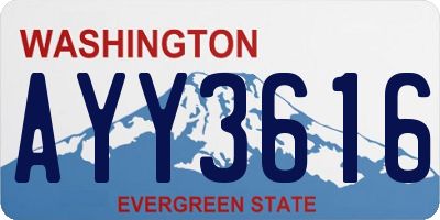 WA license plate AYY3616