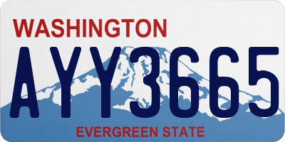 WA license plate AYY3665