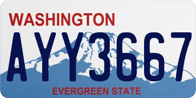 WA license plate AYY3667