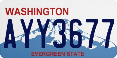 WA license plate AYY3677