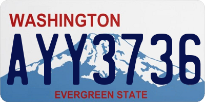 WA license plate AYY3736