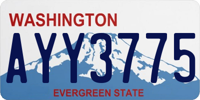 WA license plate AYY3775