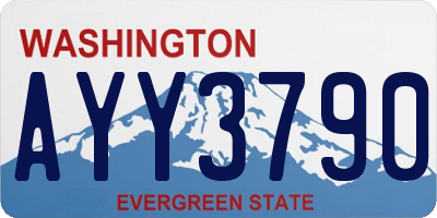 WA license plate AYY3790