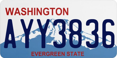 WA license plate AYY3836