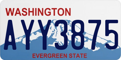 WA license plate AYY3875