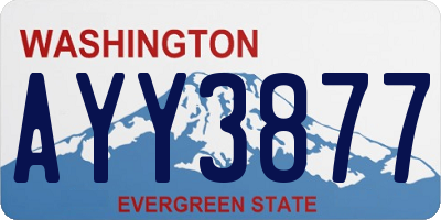 WA license plate AYY3877