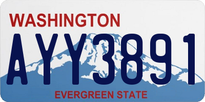 WA license plate AYY3891