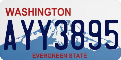 WA license plate AYY3895