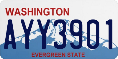 WA license plate AYY3901