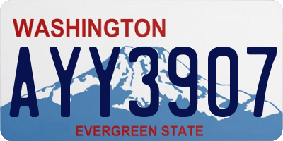 WA license plate AYY3907