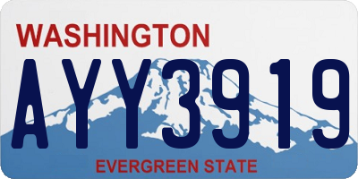 WA license plate AYY3919