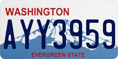 WA license plate AYY3959