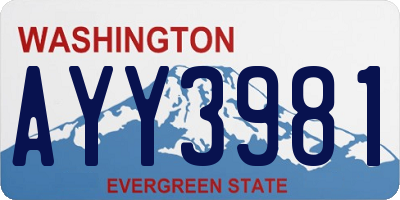 WA license plate AYY3981