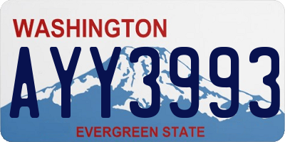 WA license plate AYY3993