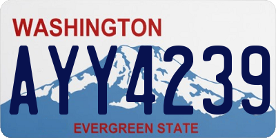 WA license plate AYY4239