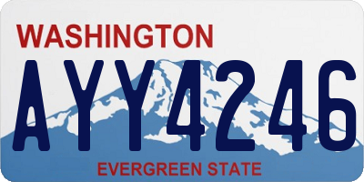 WA license plate AYY4246