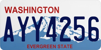 WA license plate AYY4256