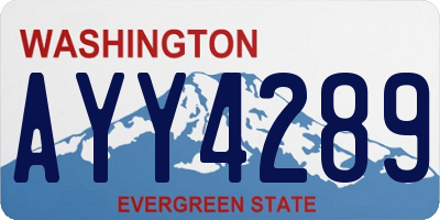 WA license plate AYY4289