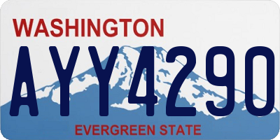 WA license plate AYY4290