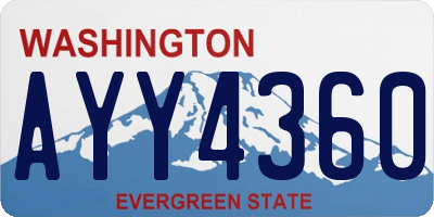 WA license plate AYY4360