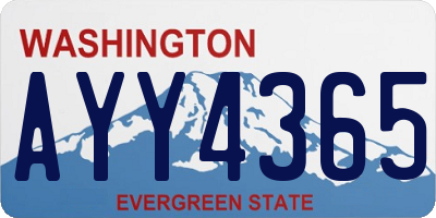 WA license plate AYY4365