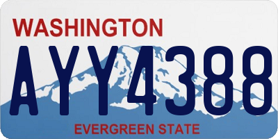 WA license plate AYY4388