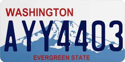 WA license plate AYY4403