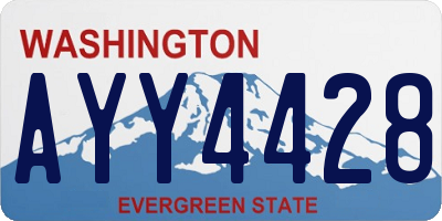 WA license plate AYY4428