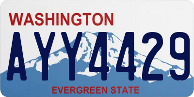 WA license plate AYY4429