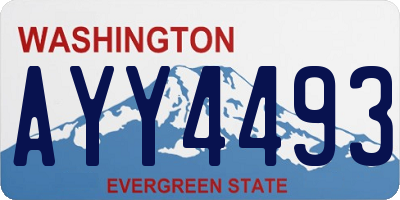 WA license plate AYY4493