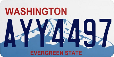 WA license plate AYY4497