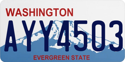 WA license plate AYY4503