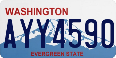 WA license plate AYY4590