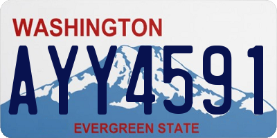 WA license plate AYY4591