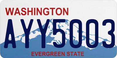 WA license plate AYY5003