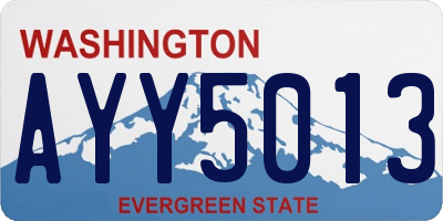 WA license plate AYY5013