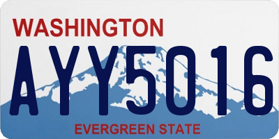 WA license plate AYY5016