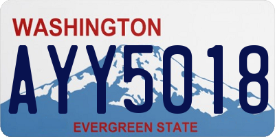 WA license plate AYY5018