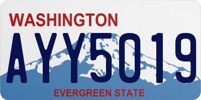 WA license plate AYY5019