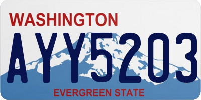 WA license plate AYY5203