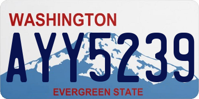 WA license plate AYY5239