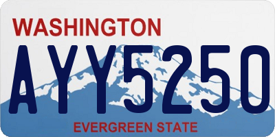 WA license plate AYY5250