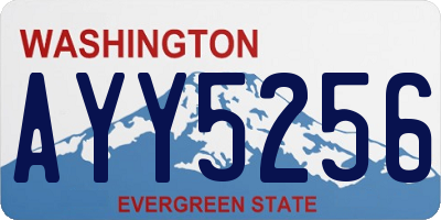 WA license plate AYY5256